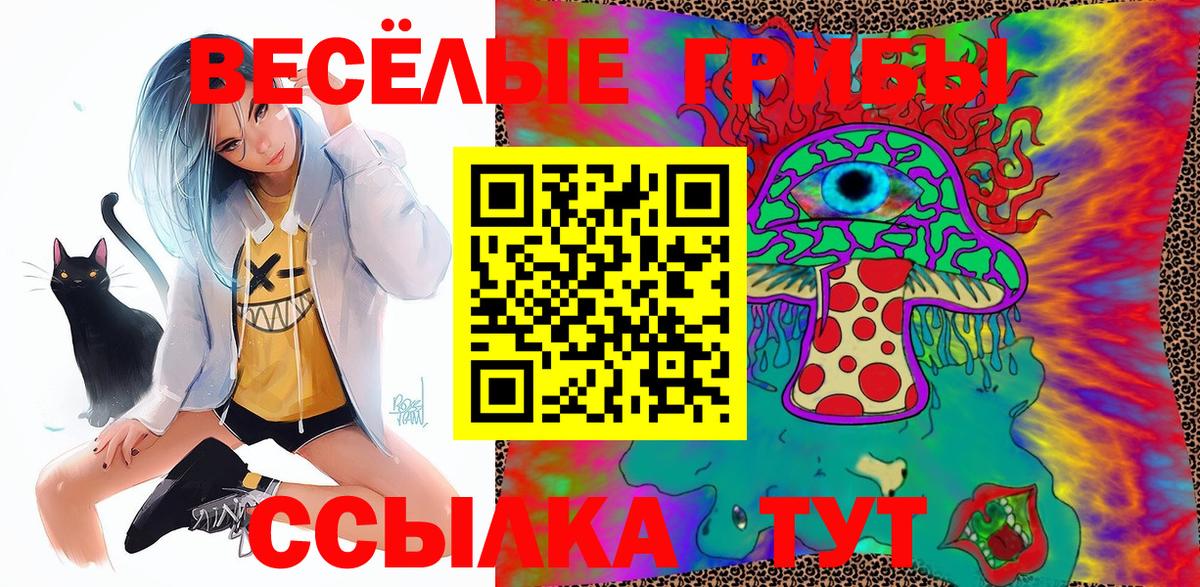 где купить наркоту  Псилоцибиновые грибы Psilocybine cubensis  Вход с VPN  Ачинск  Псилоцибиновые грибы GOLDEN TEACHER 